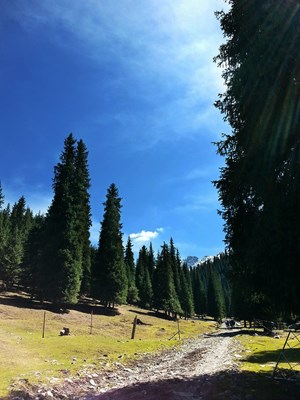 江布拉克之旅，Galaxy S5之作