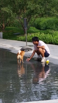 戲水