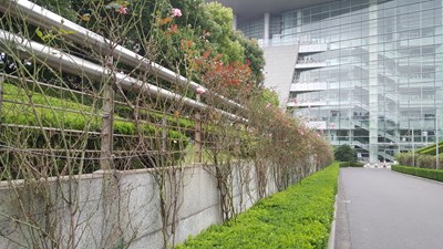 【戀之風(fēng)景】陽(yáng)光下的明媚一）。