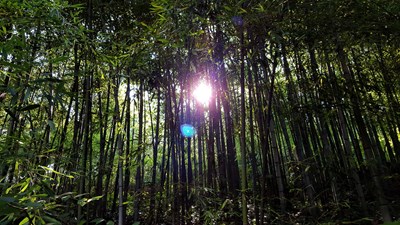 【戀之風(fēng)景】湖北三潭1