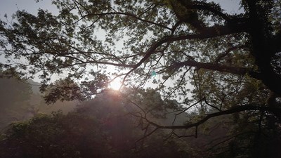【戀之風(fēng)景】湖北三潭4