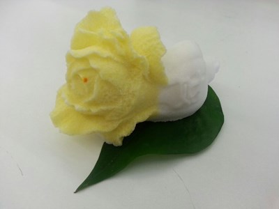 鹽白菜