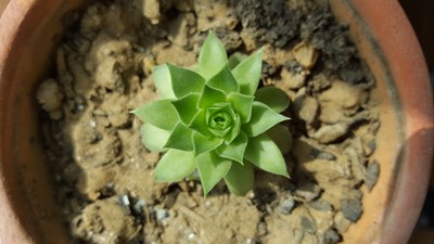 好久沒(méi)拍照片了