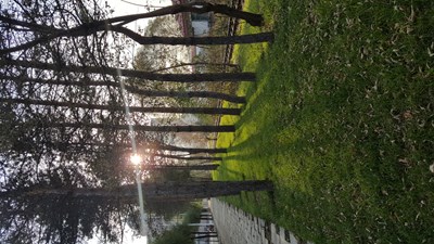 有種遠方叫家鄉(xiāng)