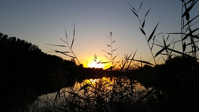 [旅行街拍]#靜等夕陽西下，捕捉美好時光＃