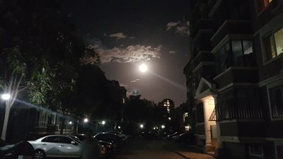 陪你看月亮