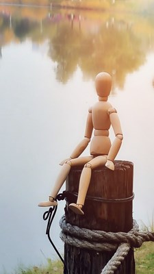 賞秋