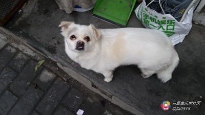 生活見聞