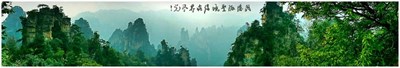 三星Note系列手機拍攝的相片