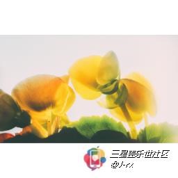 花花綠綠