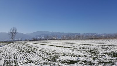 雪后的秦嶺山下