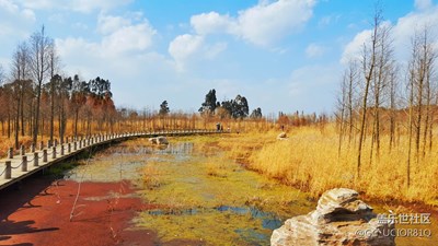 昆明東大河濕地公園隨拍