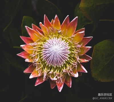 還可以