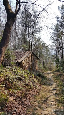 山上隨拍
