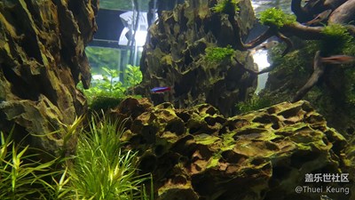 A9隨拍，水下樣張