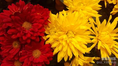 春暖花開(kāi)