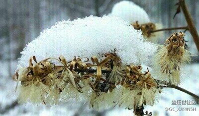 萬源八臺(tái)山