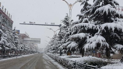 二月飛雪