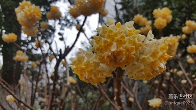 春憶
