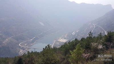 滿山櫻花