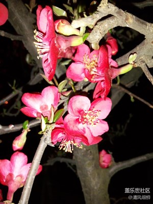 夜用閃光燈輔助拍攝降低噪點(diǎn)