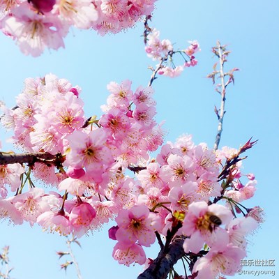 #好風(fēng)景# 春天是什么顏色的？