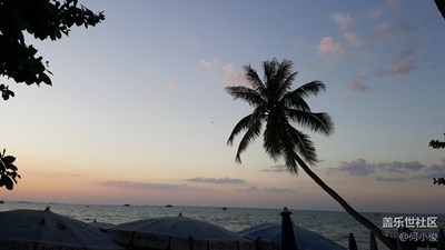 圣誕和元旦連休的泰國(guó)游記，Day5-part2，芭提雅奇妙夜