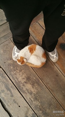 可愛(ài)的??