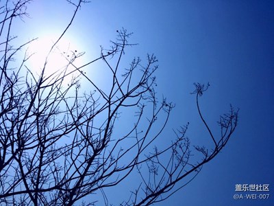 隨拍