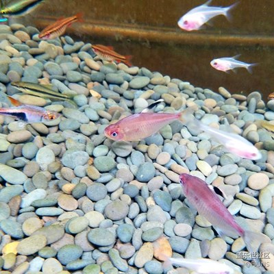 s7e水下又來(lái)了