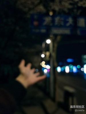 夜櫻：光影陸離