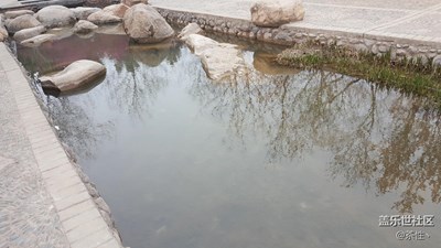 隨便拍拍，分享下