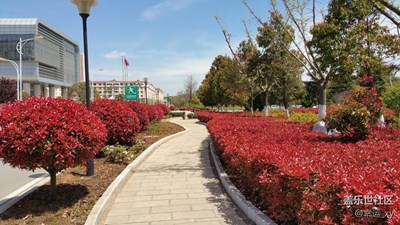 紅葉