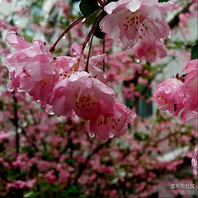不羨慕，不跟隨，繼續(xù)我的S6+感時(shí)花濺淚。。