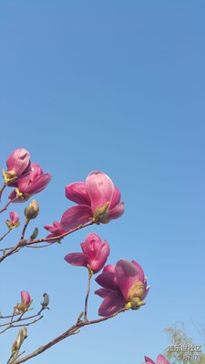 【2013-03-31】??????好心情！
