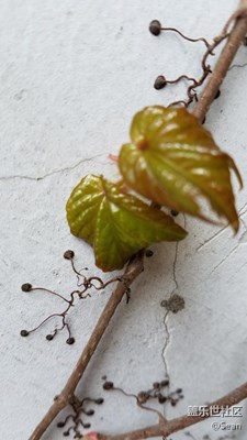 隨意拍