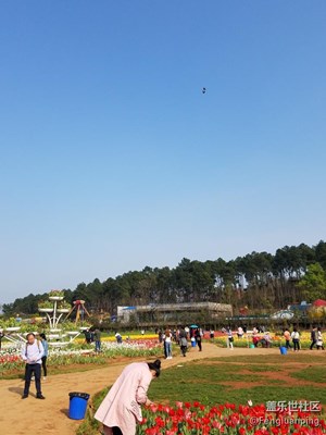 花海