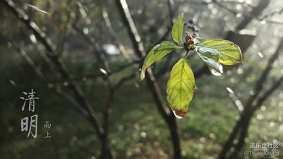 【開獎(jiǎng)】攝影周賽活動(dòng)第三期——【清明踏春游】