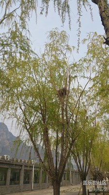 【分享】家????