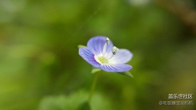 [清明踏春游]+黃岡+散花江灘春景