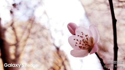 S7 edge隨手拍