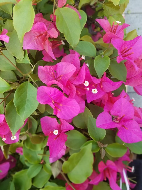 20160407_160321.jpg