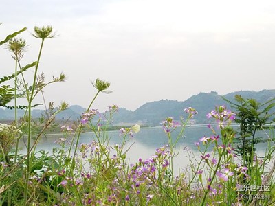 三星S7專業(yè)模式體驗(yàn)