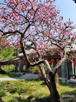 北京大觀園，記憶中的美。