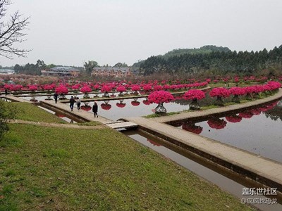 花舞人間