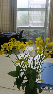 愛生活