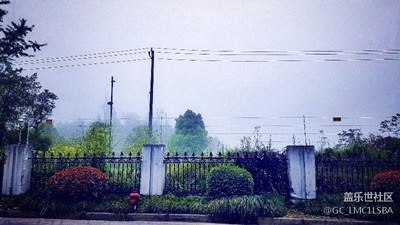 生活隨拍
