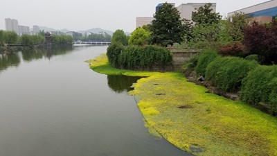 南江公園