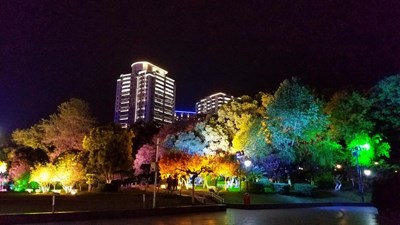 夜 夜 夜
