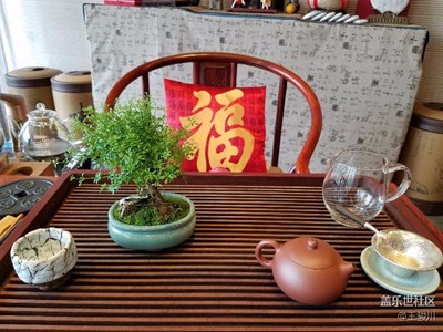 愛不一樣